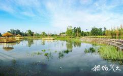 温江幸福田园旅游攻略之水立方湿地公园