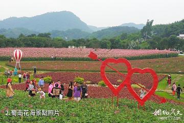 宜賓蜀南花海-蜀南花海照片