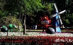 西寧人民公園旅遊攻略之花卉區