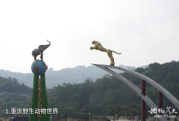 重庆野生动物世界照片