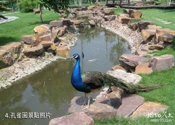 贛州九曲度假村-孔雀園照片