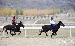 富蘊賽馬場旅遊攻略之馬場