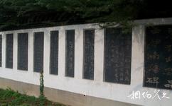 洛陽千唐志齋博物館旅遊攻略之墓志銘