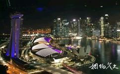 新加坡摩天輪旅遊攻略之夜景