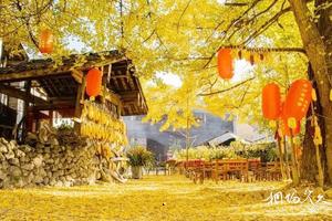 雲南保山騰衝固東旅遊景點大全