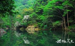 文成銅鈴山國家森林公園旅遊攻略之小瑤池景區
