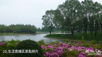 上海東方綠舟-生活實踐區照片