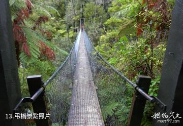 紐西蘭阿貝爾·塔斯曼國家公園-弔橋照片
