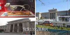 北京自然博物馆驴友相册