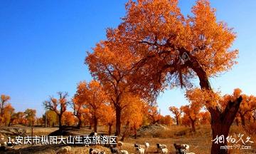 安庆市枞阳大山生态旅游区照片