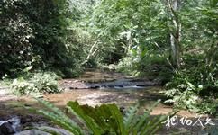 瑞麗莫里熱帶雨林旅遊攻略之莫里熱帶雨林