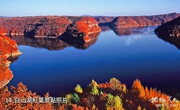 靖宇縣白山湖景區-白山湖紅葉照片