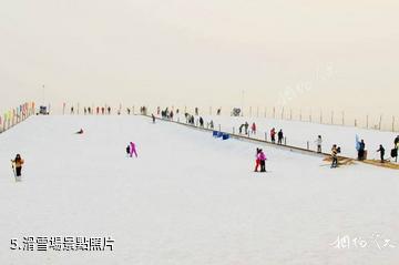 連雲港景緻湖西生態園-滑雪場照片