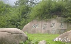 九華山旅遊攻略之「林岩競秀」石刻群