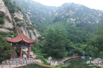 青島平度茶山風景區-生態觀光區照片