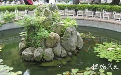 青島迎賓館旅遊攻略之假山池水