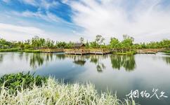 苏州吴江运河文化旅游攻略之莺脰湖生态公园