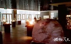 浙江東方地質博物館旅遊攻略之展示廳