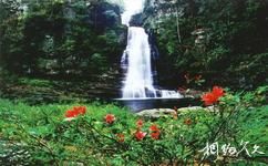 廣西大明山國家級自然保護區旅遊攻略之金龜瀑布