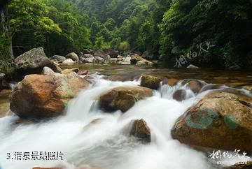 福建梅花山國家級自然保護區-清泉照片