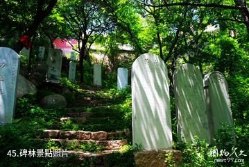 平度大澤山風景區-碑林照片