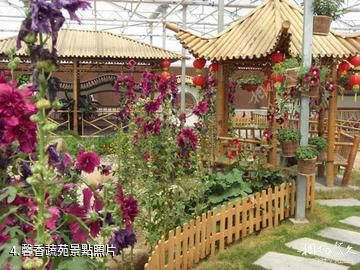 上海都市菜園-馨香蔬苑照片