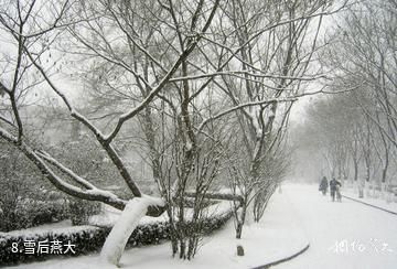 燕山大学-雪后燕大照片