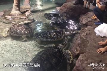 杭州極地海洋公園-遊客互動區照片