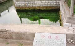 泗水泉林泉群旅遊攻略之珍珠泉