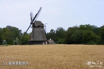 歐登塞菲英村-風車照片