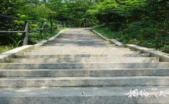 珠海板樟山森林公园旅游攻略之1999级台阶