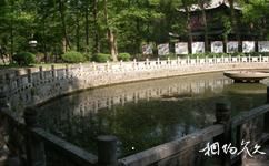 南京棲霞寺旅遊攻略之白蓮池