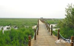 黑龙江洪河国家级自然保护区旅游攻略之湿地