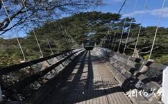 紐西蘭湯加里羅國家公園旅遊攻略之弔橋