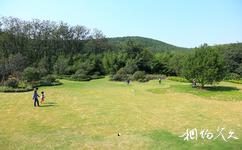 徐州泉山森林公園旅遊攻略之植物