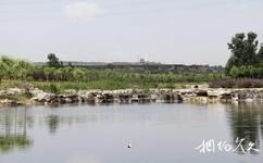 山西孝河國家濕地公園旅遊攻略之玉帶湖