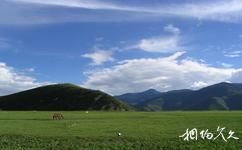 丽江牦牛坪旅游攻略之高山草甸