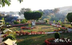 埃及阿斯旺市旅游攻略之植物园