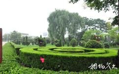 许昌鄢陵国家花木博览园旅游攻略之植物