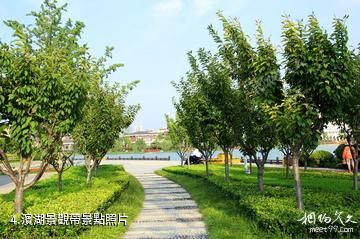 徐州金龍湖風景區-濱湖景觀帶照片