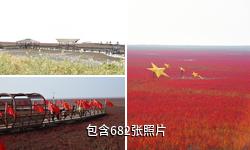 盘锦红海滩风景区驴友相册