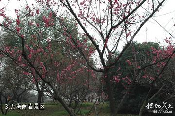 濮阳绿色庄园景区-万梅闹春景区照片