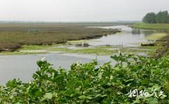 蚌埠闸旅游攻略之千亩湿地公园