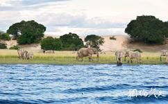 布隆迪坦噶尼喀湖旅游攻略之动物