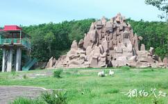北方森林動物園旅遊攻略之岩羊區