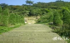 重庆圣灯山森林公园旅游攻略之阶梯