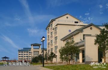 江南大學-桂園照片