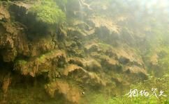 貴州馬嶺河峽谷旅遊攻略之岩頁壁掛