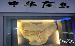 遼寧朝陽鳥化石國家地質公園旅遊攻略之鳥化石