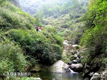 十堰九華山森林公園-水杉溪照片